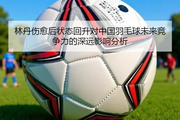 lin-dan-shang-yu-hou-zhuang-tai-hui-sheng-dui-zhong-guo-yu-mao-qiu-wei-lai-jing-zheng-li-de-shen-yuan-ying-xiang-fen-xi-2-511.jpg